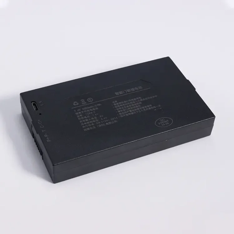 Door Lock Battery 4200mh CCPP - ছবি 3